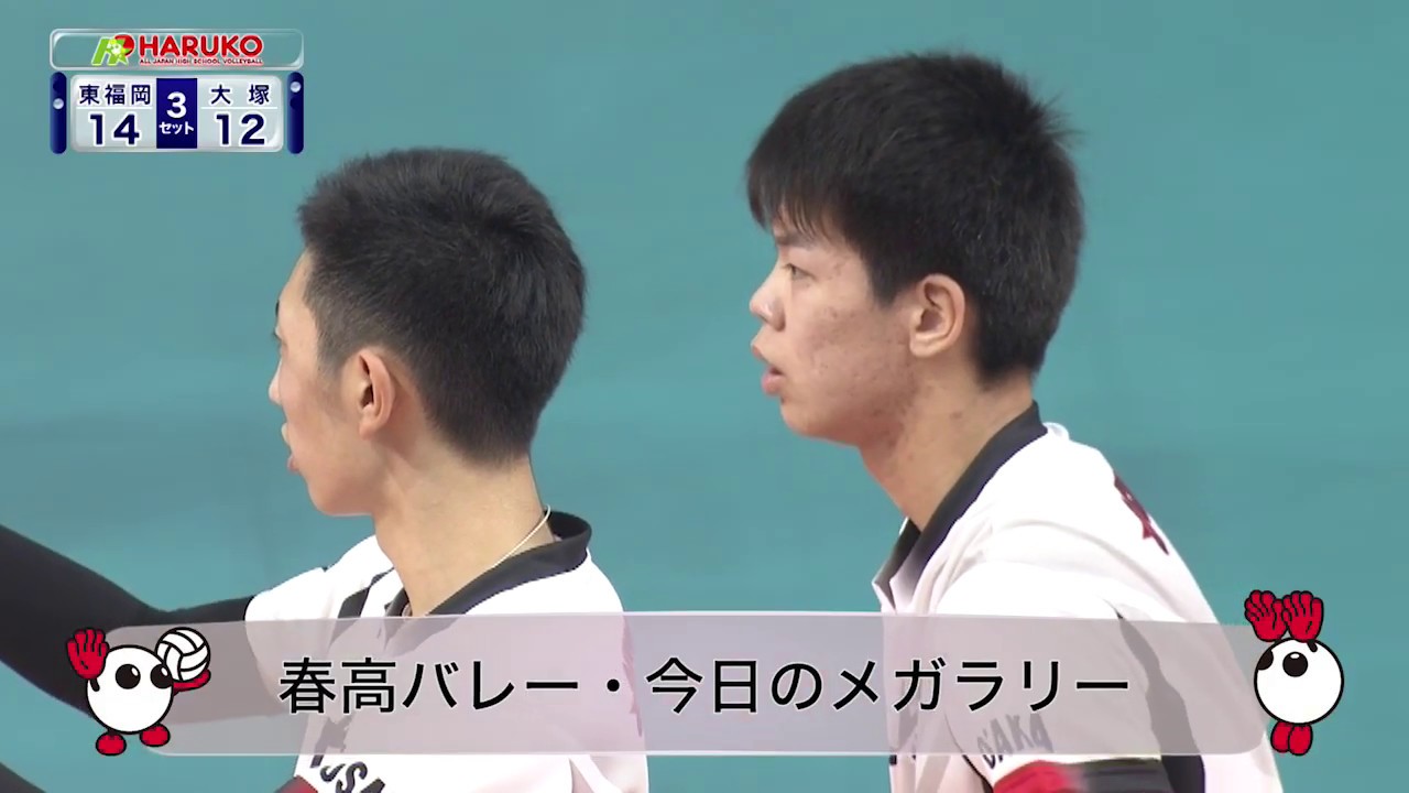 【即購入OK】春高バレーDVD 2013男子決勝　星城3-1大塚 2013年 第65回大会】男子決勝 星城高校[愛知] vs 大塚高校[大阪