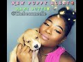 Man butter   new puppy pitbull boxer mix breed thebeaumeelle