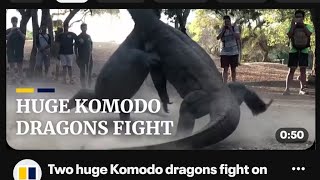 Two Huge Komodo Dragons fight on Indonesian Highway #dinasours #jurrasicpark #giant #wildanimals 