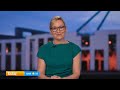 Pauline Hanson unveils plan for cheaper cigarettes | Today Show Australia