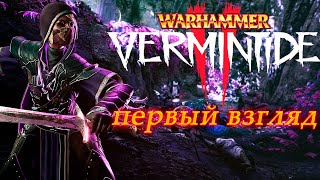 Warhammer Vermintide 2 Первый взгляд в кооперативе (18+) стрим