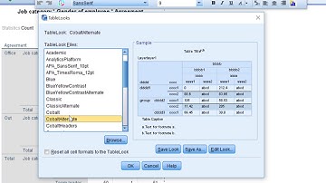 Edit table looks in IBM SPSS Statistics