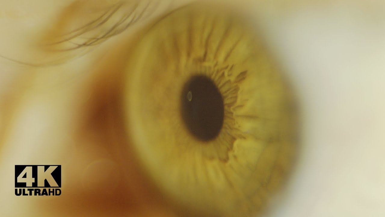 Eye Test [4K] - YouTube