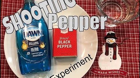 Shooting Pepper Science Experiment (Surface tension changes)