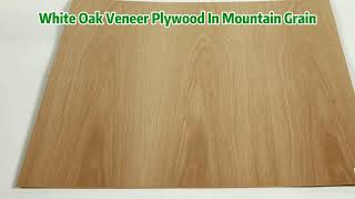 White Oak Plywood 4X8 Home Depot- Tongli