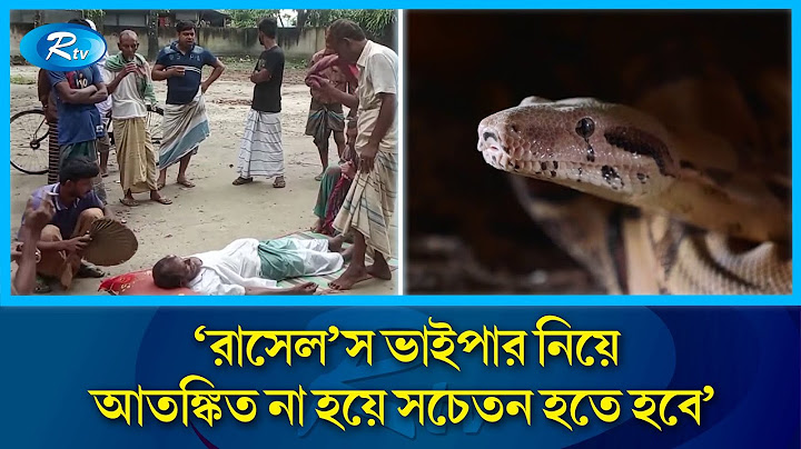 রাসেলস ভাইপার নিয়ে আতঙ্কিত না হওয়ার পরামর্শ স্বাস্থ্যমন্ত্রীর | Russell's Viper | Snake | Rtv News