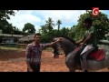 The Other Side - Premadasa Riding School