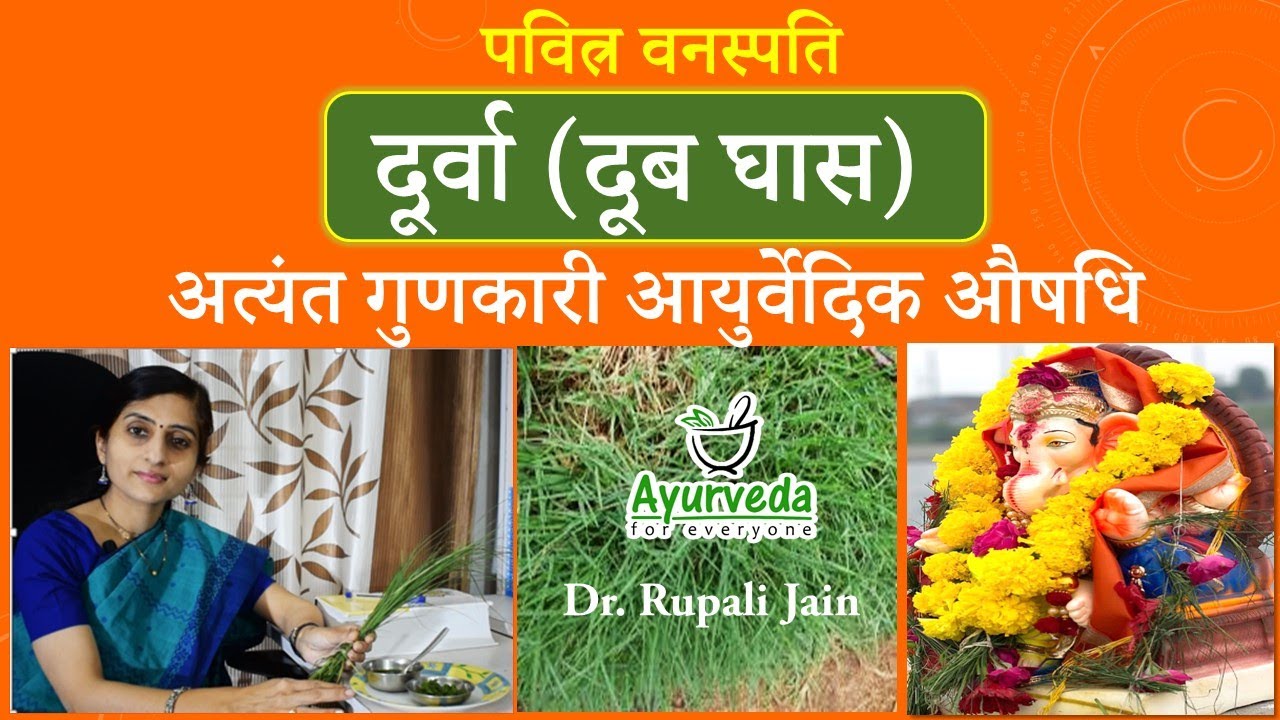 Ayurvedic Importance of Durva Doob Grass          