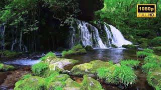 Forest River Nature Sounds 4K 🌿 Mountain Stream Waterfall Relaxing Birds & Water Sounds for Sleeping