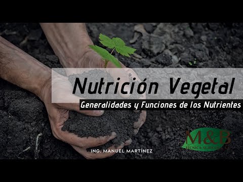 Video: Nutrición Vegetal