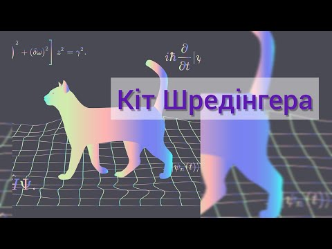 Кіт Шредінгера. Про