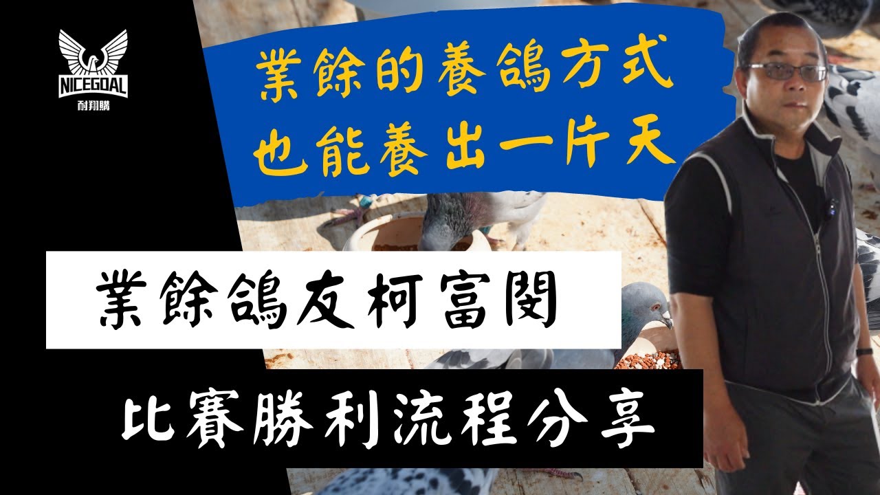 業餘的養鴿方式也能養出一片天 !?  業餘鴿友柯富閔，比賽勝利流程分享｜耐翔購