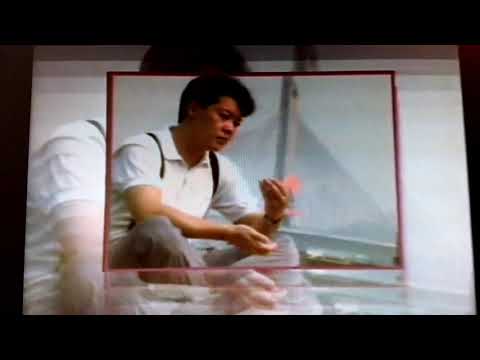 關正傑 - 星 (自己翻唱K版)