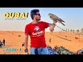 Desert Adventure In Dubai Dubai Desert Safari An Unforgettable Experience 4k 4k Walking Desert Adventure In Dubai Dubai Desert Safari An Unforgettable Experience 4k 4k Walking
