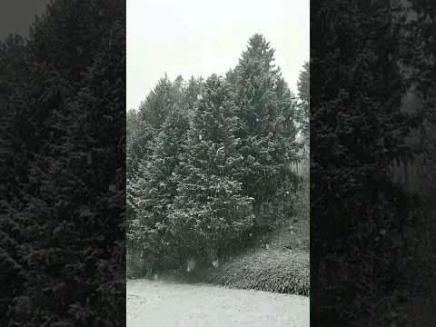 А снег идёт, ложится на дорогу...Snow is falling #shorts #snow #winter