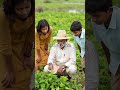 Secret Jungle Gardens Saved Lives During History's Deadliest Famine