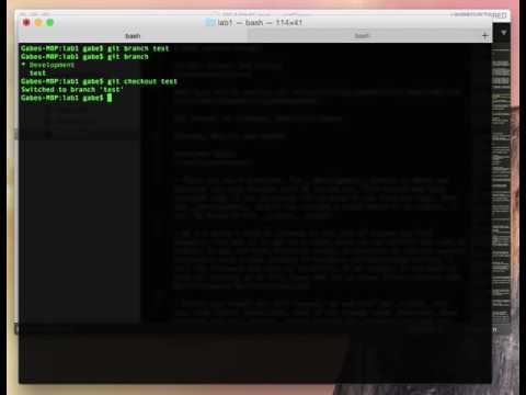 GiT Lab 6: Create or Checkout a remote Git branch - YouTube