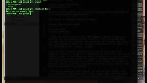 GiT Lab 6: Create or Checkout a remote Git branch