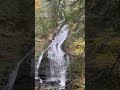 Peaceful Noise! #youtubeshorts  #relaxing #waterfalls #nature