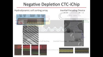 Molecular Analysis of CTCs