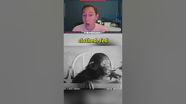 Most Disturbing Human Experiment
