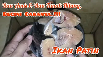Cara Menghilangkan Bau Amis dan Bau Tanah Pada Ikan Patin | Elly Aryanti Cara Menghilangkan Bau Amis dan Bau Tanah Pada Ikan Patin | Elly Aryanti