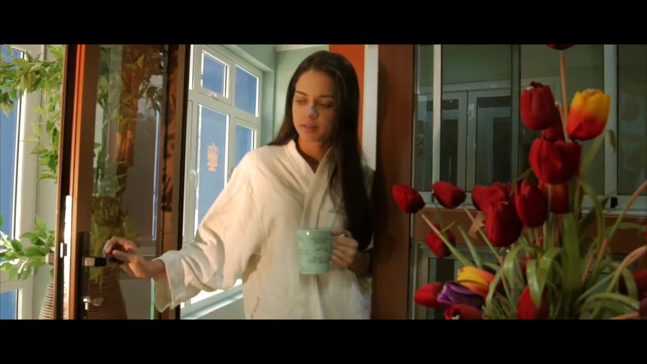 Island's Best Windows and Doors Commercial Aruba Day YouTube