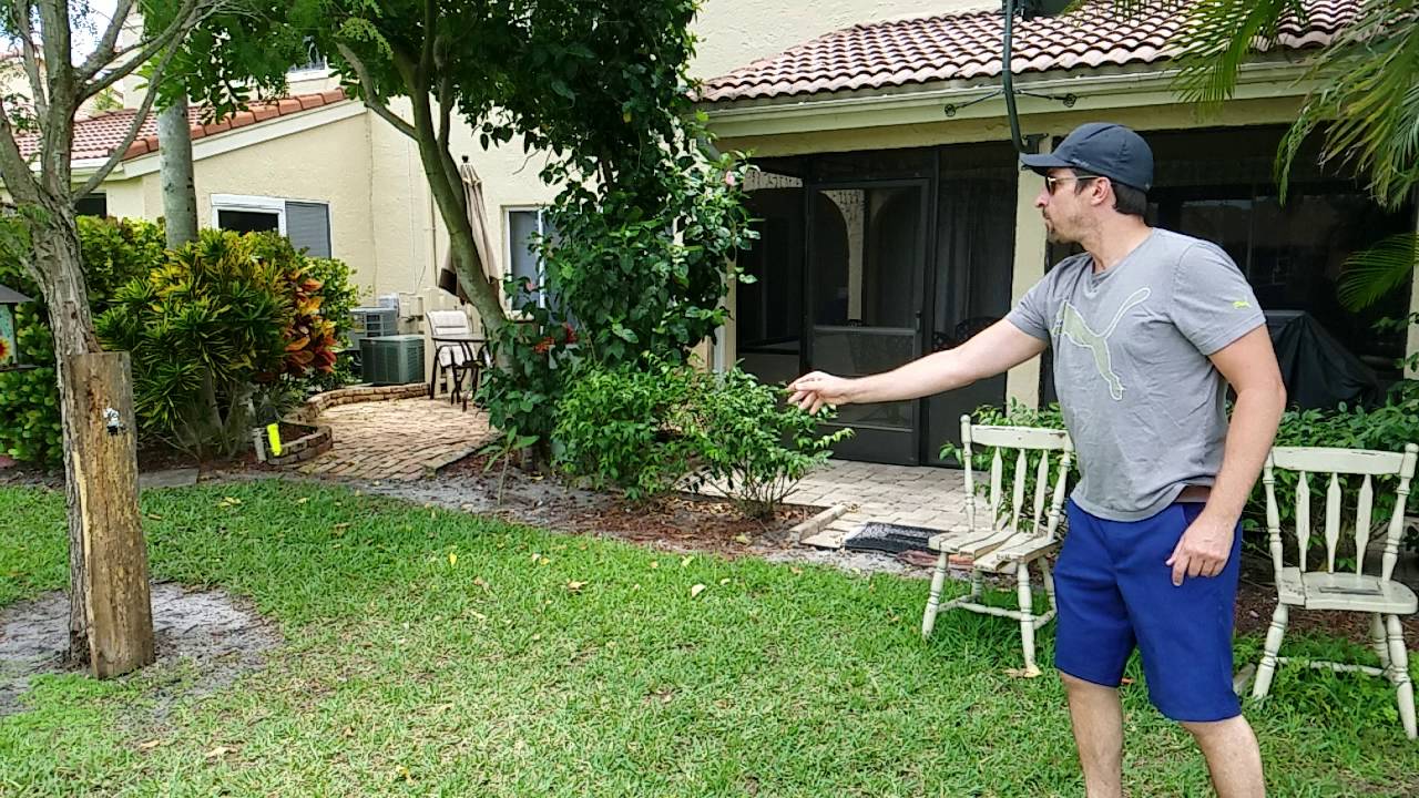 Slow motion knife throw YouTube