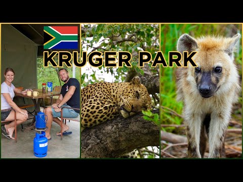 Video: De beste tijd om het Kruger National Park te bezoeken