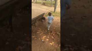 baby running in park bebe corriendo en parque