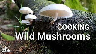 Foraging and Cooking Field Mushrooms