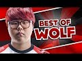 Best Of Wolf - Best Support World | League Of Legends