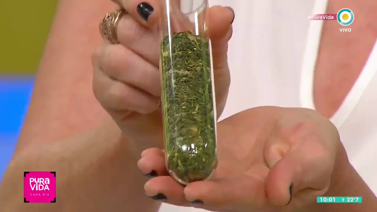 PURA VIDA: Victoria Bisogno presenta el blend diseñado para el programa de TV argentino