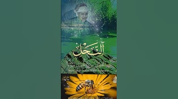 سورة النحل#لااله الا الله #بسم_الله #دويتو #اكسبلور #duet #sunset