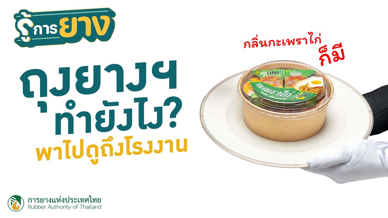 ดูทุกขั้นตอน การผลิตถุงยางอนามัย รู้การยาง Ep.05 ตอน 