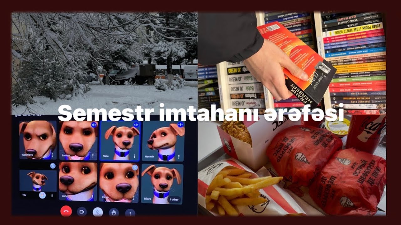 Semestr imtahanı ərəfəsi (Bakı dövlət universiteti vlog)