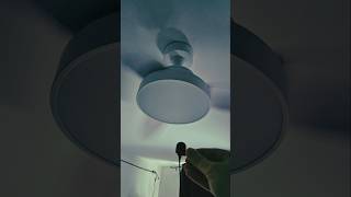 ASMR Ceiling Fan Sound for Sleep | White Noise #asmr #whitenoise #sleepsounds
