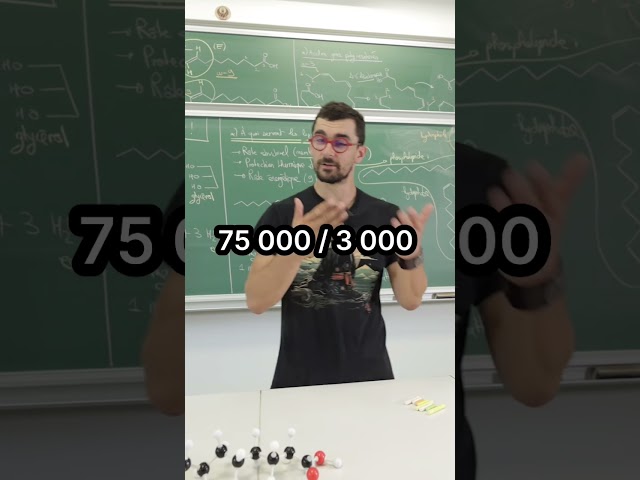 😵 25 marathons avec 10 kg de gras ?