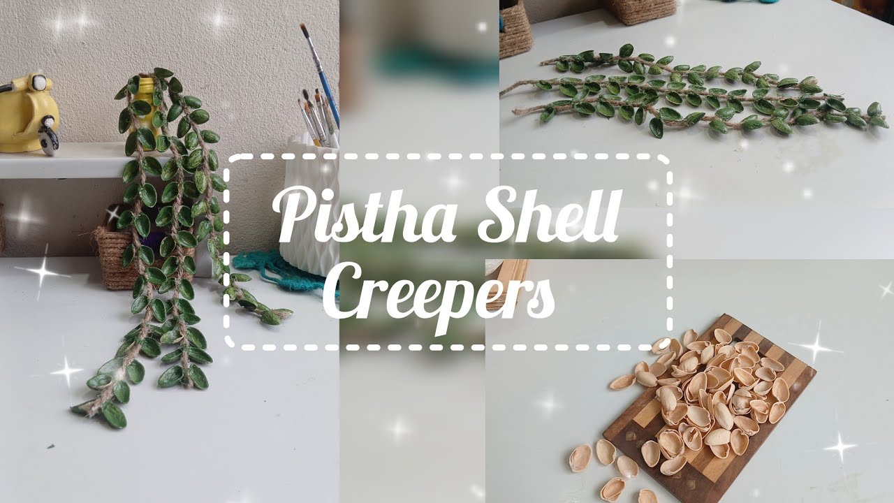 Pob Shell Diy Wall Hanging || Pistha Shell Craft || Best out of waste - YouTube