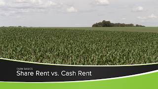 Share Rent vs Cash Rent