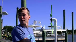 UNCW MarineQuest is Excited for this Summer!