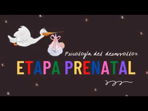 Vídeo: Correlaciones De Conocimiento Sobre Defectos De Nacimiento Y Factores Asociados Entre Madres Prenatales En Galle, Sri Lanka: Un Estudio Analítico Transversal