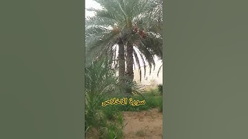 سوره الاخلاص تلاوات الجميله جدا قارىء محمد الفقيه#محمد_الفقيه #الشيخ_محمد_الفقيه #beautifullquran