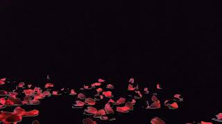 Lets the heart fall template video | non copyright background and music | watch and get screenshot 5