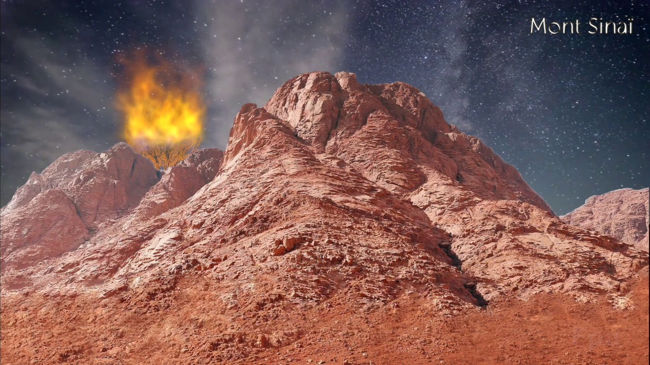 Buisson Ardent Sinaï YouTube