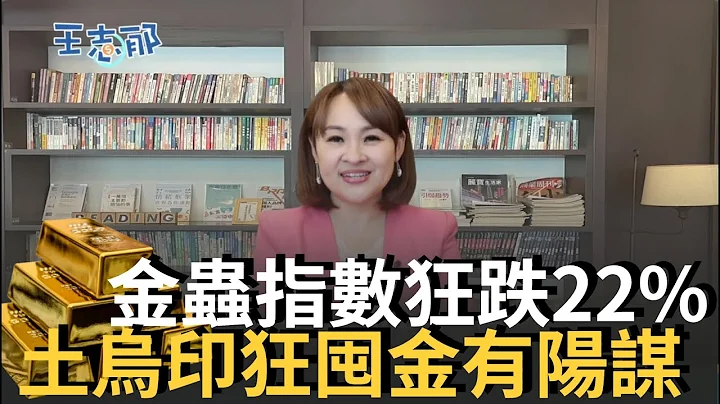 金虫指数狂泄22% Q3全球黄金需求反飙1181吨 战争一响黄金万两 景气复苏时就是黄金起涨时？｜20221110｜@inewsplus - 天天要闻