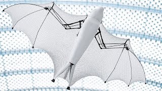 অসধরন রবটকস বদড য সতয বদযমন Amazing Bionic Flying Fox Robot