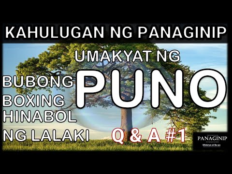 Video: Ano Ang Mga Dilaw na Cherry – Alamin ang Tungkol sa Pagpapalaki ng Mga Dilaw na Puno ng Cherry