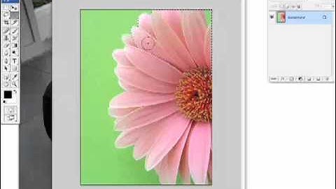 08 Using Photoshop CS3