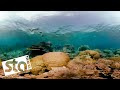 Explore australia in 360  great barrier reef  sta travel